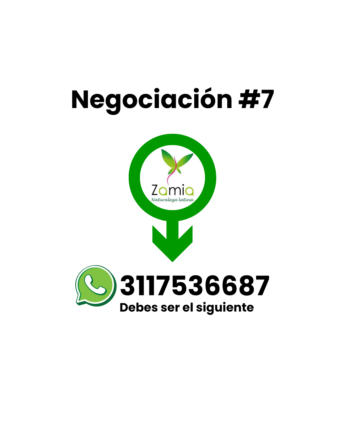 Negociación Zamia 7